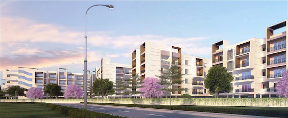 pickurhome | Abhee silicon shine